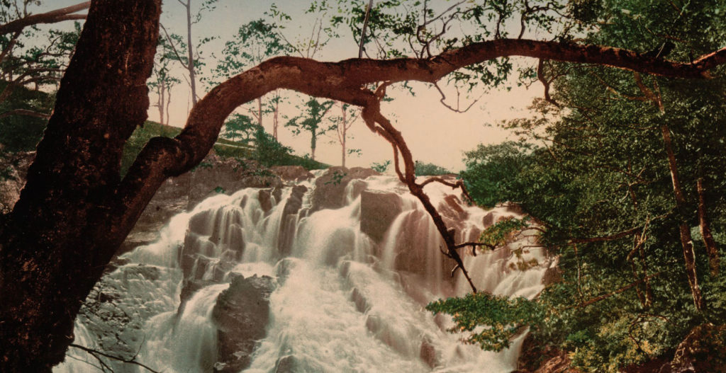 Swallow Falls, Fairy Glen