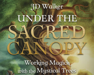 Under the Sacred Canopy