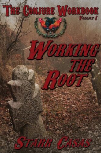 The Conjure Workbook Working the Root